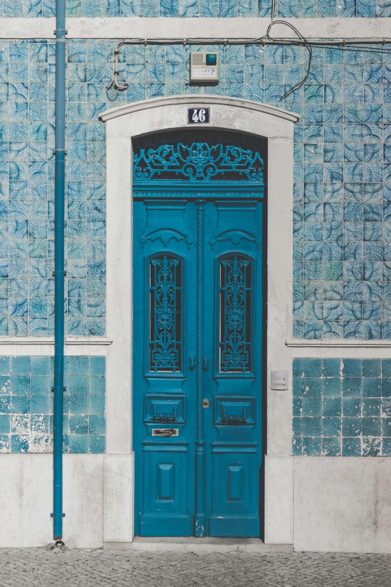 catarina-carvalho-cqMwRNd0i7I-unsplash